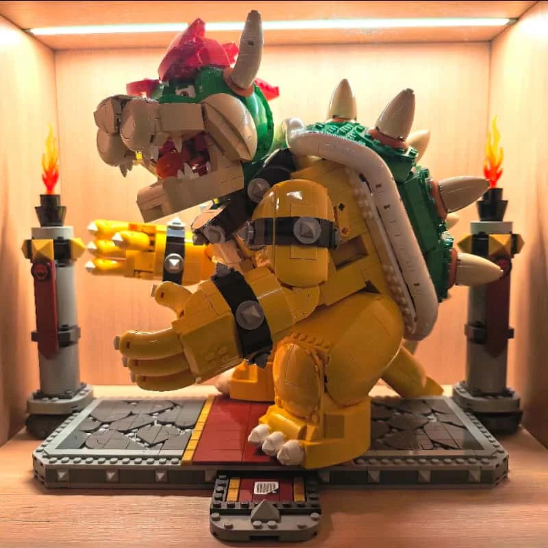 King Turtle 71411