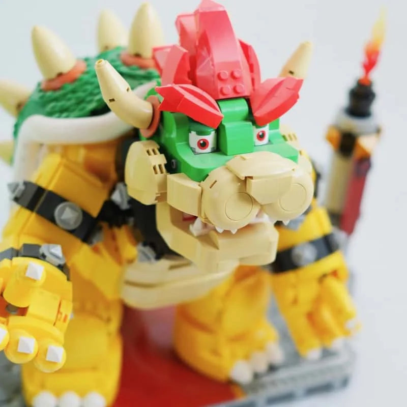 King Turtle 71411